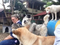 at the dog shelter : they are so curious...