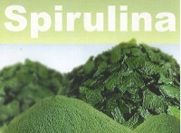 GD-1 Thai Spirulina